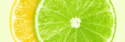 Szkoła języka  polskiego   Limonka